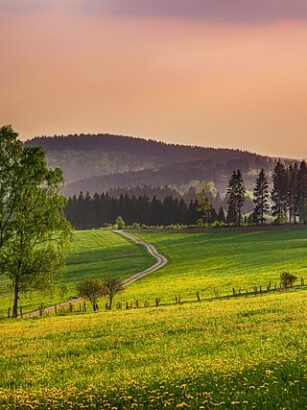 Zapomniany Blask Sauerlandu: Jak tradycyjne piekarnictwo z regionu walczy o przetrwanie w cieniu dyskontów i globalnych trendów. - 11 2025