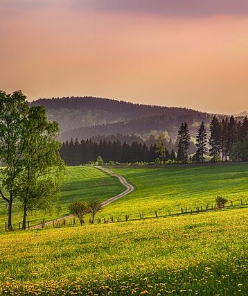 Zapomniany Blask Sauerlandu: Jak tradycyjne piekarnictwo z regionu walczy o przetrwanie w cieniu dyskontów i globalnych trendów. - 17 2025