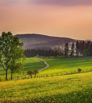 Zapomniany Blask Sauerlandu: Jak tradycyjne piekarnictwo z regionu walczy o przetrwanie w cieniu dyskontów i globalnych trendów. - 5 2025