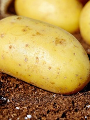 **"Kluski Zielone z Ząbkowic Śląskich: Jak Uniknąć Gorzkiego Smaku i Uzyskać Idealną Konsystencję?"** - 9 2025
