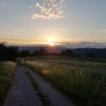 ** Roślinne zamienniki w kuchni Schwarzwaldu: Analiza składników i ich wpływu na tradycyjne receptury.