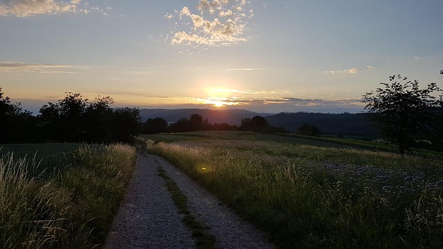 ** 5 sekretnych składników, które odtworzą smak Schwarzwaldu w wegańskich daniach. - 1 2025