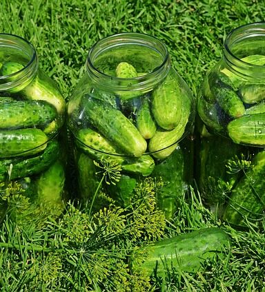 ** Jak krok po kroku przeprowadzić piklowanie na sucho w popiele drzewnym? - 5 2025