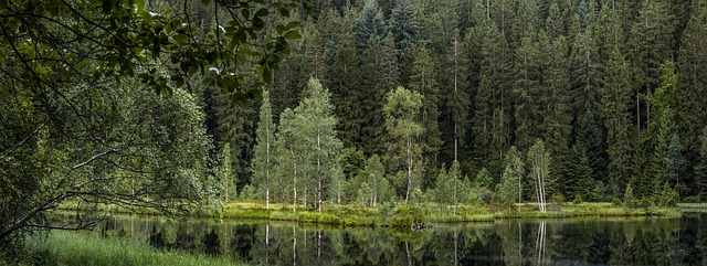**Sekretna fermentacja wiśni w Schwarzwaldzie: Jak stworzyć idealny Kirschwasser do Schwarzwaldzkiego Tortu bez przypalonego smaku?** - 1 2025