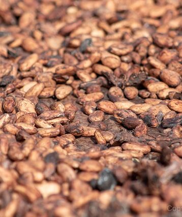**Kiszona Mizeria: Sekrety Chrupiącej Tekstury i Wyrazistego Smaku Po Fermentacji** - 25 2025