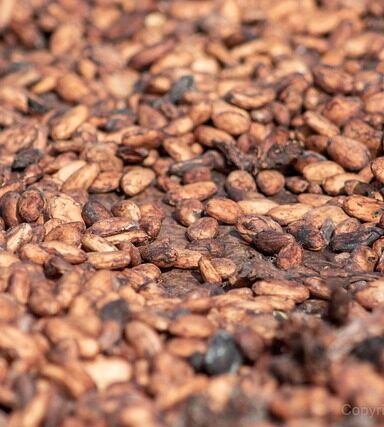 **Kiszona Mizeria: Sekrety Chrupiącej Tekstury i Wyrazistego Smaku Po Fermentacji** - 5 2025