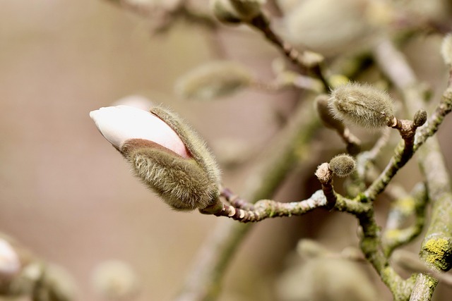 ** Jak zrobić Shrub krok po kroku: Przewodnik dla początkujących po fermentacji owocowych resztek - 1 2025
