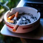 Pokrzywowo-Mniszkowy Detox Wiosenny: Jak oczyścić wątrobę po zimie w 7 dni, bazując na lokalnych superfoodach?