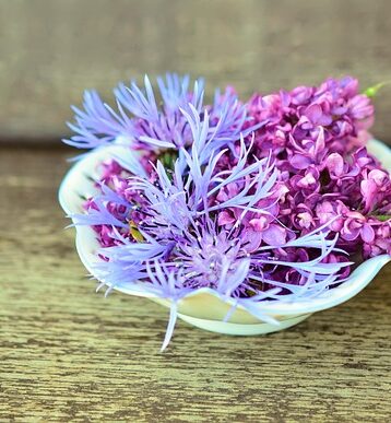 **Smażone kwiaty bzu: Od ogrodu na talerz - jak bezpiecznie i smacznie wykorzystać tradycyjną technikę smażenia?** - 27 2025