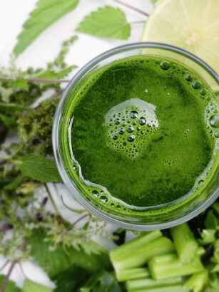 Leśny Detox: Jak wykorzystać dzikie zioła do sezonowego oczyszczania organizmu (i dlaczego to nie zawsze dobry pomysł) - 1 2025