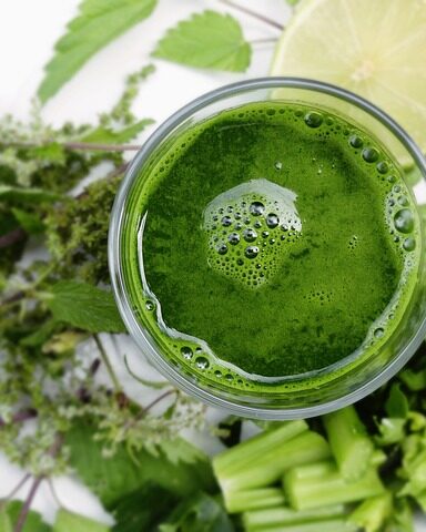 Leśny Detox: Jak wykorzystać dzikie zioła do sezonowego oczyszczania organizmu (i dlaczego to nie zawsze dobry pomysł) - 3 2025