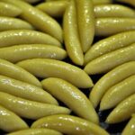 Sekrety Patynowania: Od Żelaznego Szlachetnika do Perfekcyjnej Powłoki