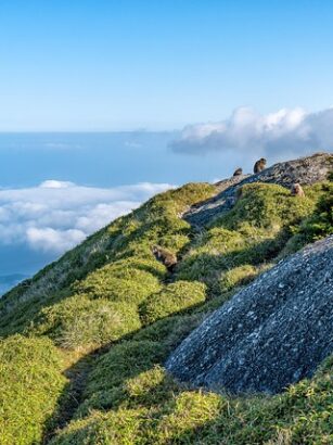 Doskonałe Elewacje w Krakowie: Przewodnik dla Właścicieli Domów - 4 2025 Doskonałe Elewacje w Krakowie: Przewodnik dla Właścicieli Domów - 3 2025