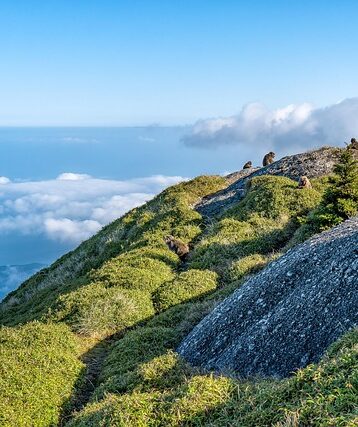Doskonałe Elewacje w Krakowie: Przewodnik dla Właścicieli Domów - 21 2025
