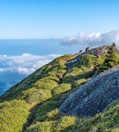 Doskonałe Elewacje w Krakowie: Przewodnik dla Właścicieli Domów - 8 2025 Doskonałe Elewacje w Krakowie: Przewodnik dla Właścicieli Domów - 7 2025